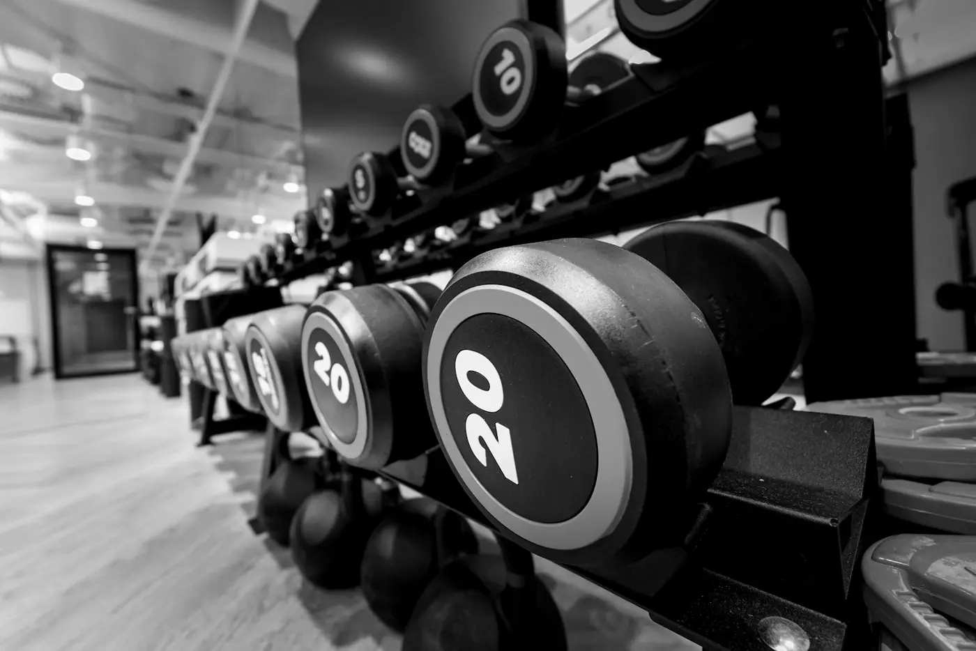 A rack of dumbbells arranged by weight